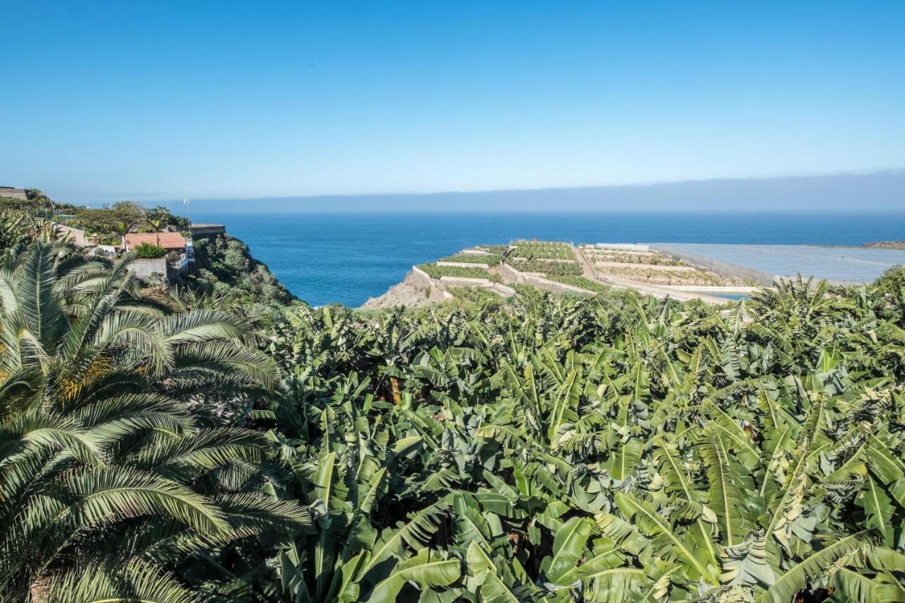 Finca Alejandrina Ла-Гуанча Экстерьер фото